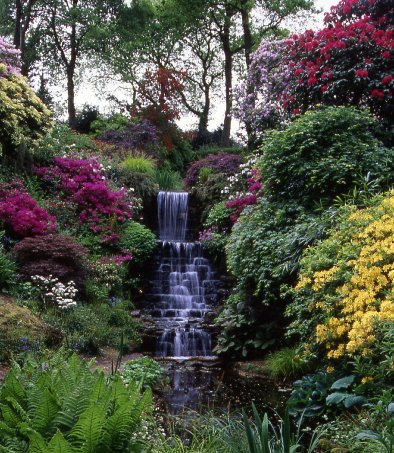 Dorothy
                    Clive Garden Quarry Garden waterfall