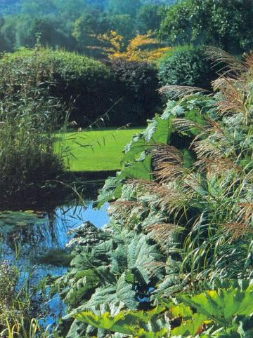 Dorothy Clive pond