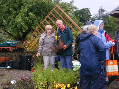 One of the
                  borders at Jacquiline Iddon's Garden