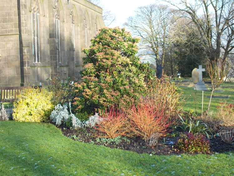 Tebay Garden in Winter