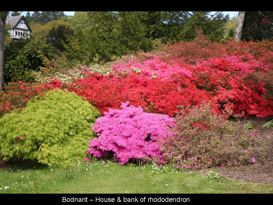 Bodnant Garden