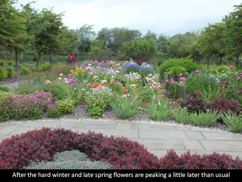 Breezy Knees
                    Garden