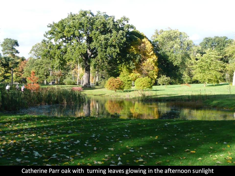 Thorp Perrow
                    Arboretum