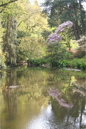 Bodnant