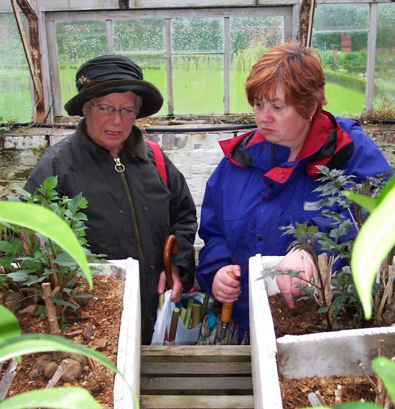 Plenty to
                    admire in the greenhouse at Claughton Hall