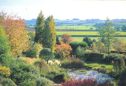 Hillside Garden