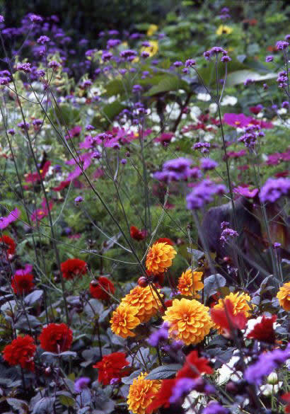 Summer hillside
                    garden borders