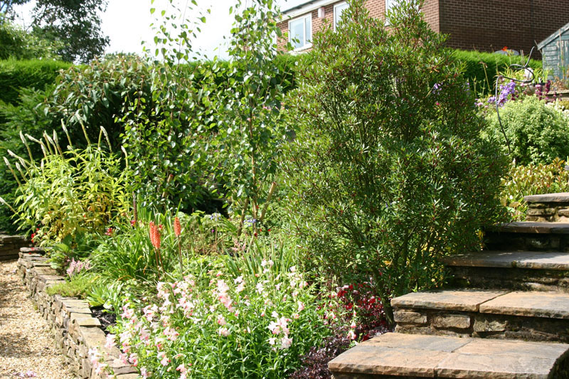 Herbaceous bed at David & Amanda's