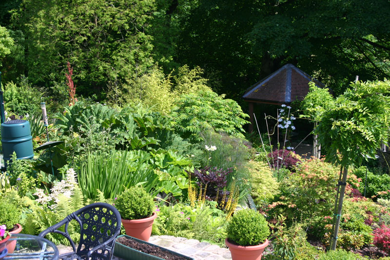 View from middle patio over
                    Tropical & Oriental beds to Pergola at David
                    & Amanda's