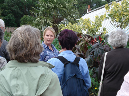 Sue Hoy's Garden
                  Tour