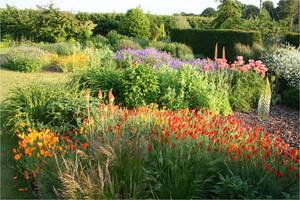 Bluebell Cottage Garden