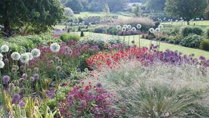 Harlow
                  Carr early summer border