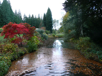 Some early autumn colour