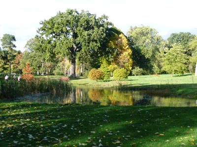 Thorp Perrow on a beautiful sunny day