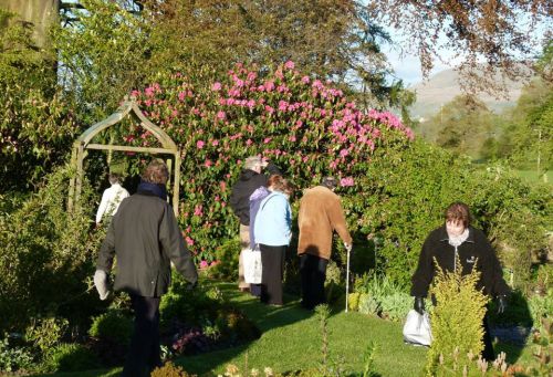 Sunshine
                    and flowering shrubs