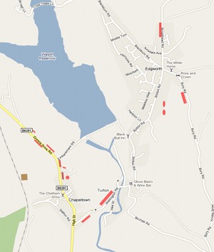 Bulb planting map
