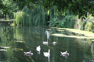 Bradford on Avon