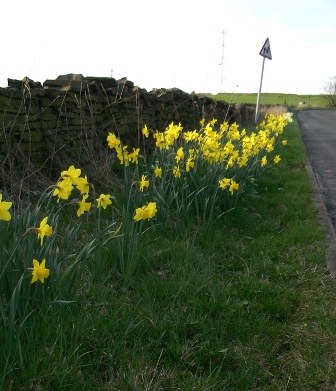 Spring 2011 on Broadhead Road
