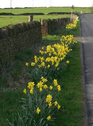 Spring 2011on Broadhead
                  Road