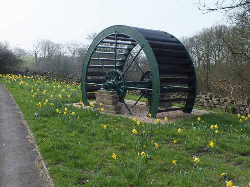 Waterwheel Daffs March
                  23rd 2012