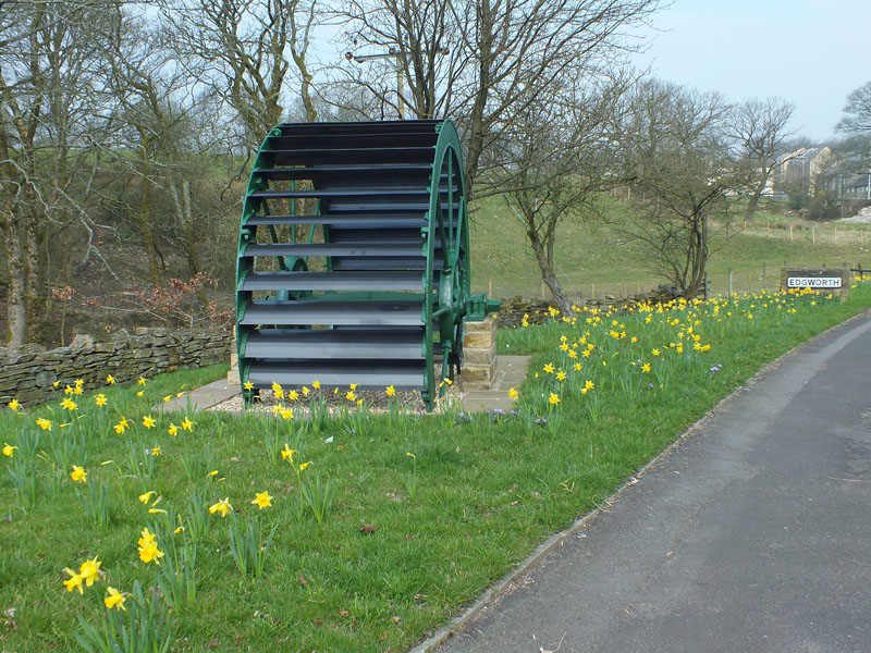 Waterwheel Daffs March 23rd 2012