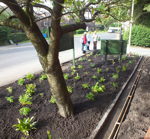 Planting
                  completed