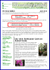 Newsletter Newsletter